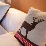 Hotel Madrisa