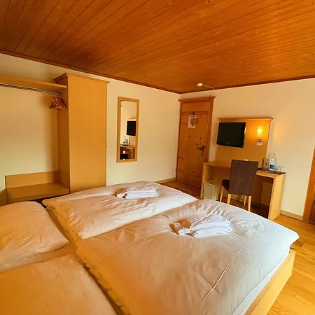 Hotel Madrisa 3*